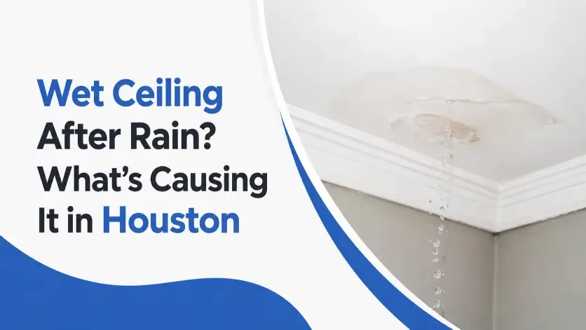 Wet Ceiling After Rain? What's Causing It in Houston 