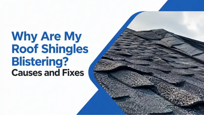 Why Are My Roof Shingles Blistering? Causes and Fixes